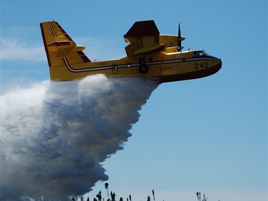 45,8 hectares de forêt brûlés en avril au Québec