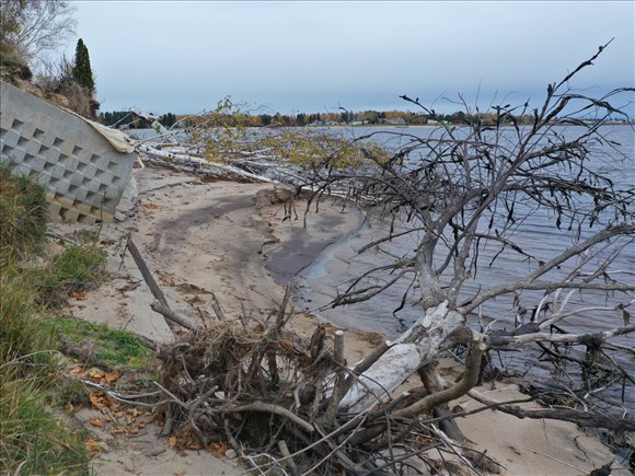 Le Mouvement Onésime-Tremblay veut protéger les berges du lac Saint-Jean