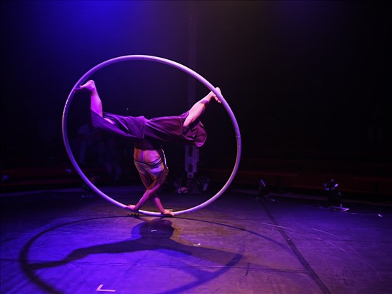 Le cirque de retour à Dolbeau-Mistassini pour un dernier été