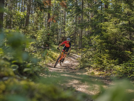 Saint-Félicien accueille deux compétitions majeures de vélo de montagne ce week-end