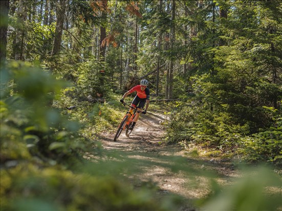 Saint-Félicien accueille deux compétitions majeures de vélo de montagne ce week-end