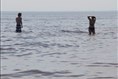 Les 17 plages de la région propres à la baignade
