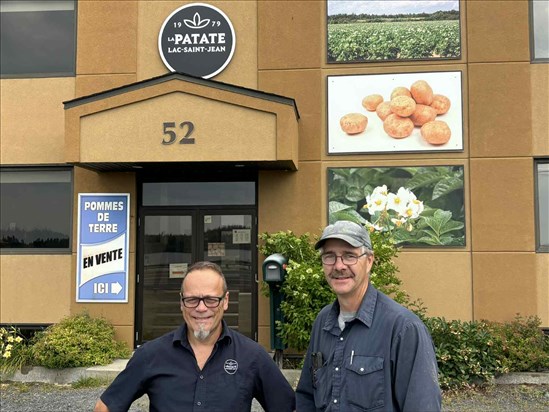 Les cultures de patates résistent aux intempéries