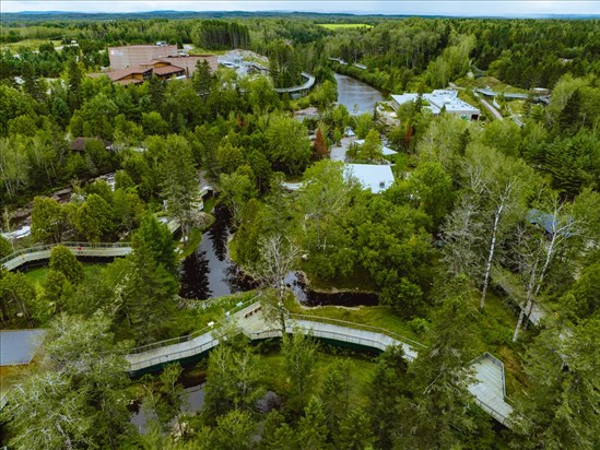 Première édition de la Course boréale du Zoo sauvage