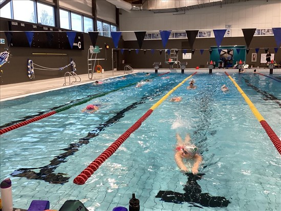 Le Club de natation de Saint-Félicien amorce sa saison avec des défis 