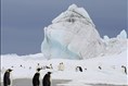 Un voyage unique au bout du monde dans les cinémas de la région
