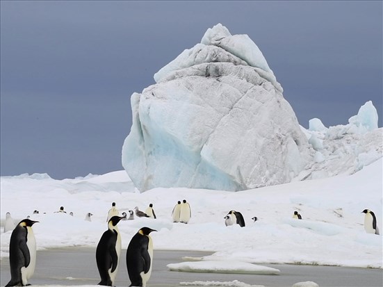 Un voyage unique au bout du monde dans les cinémas de la région