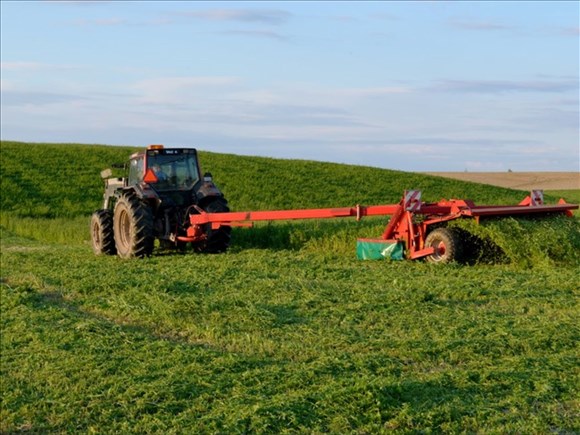 Le gouvernement souhaite faire le portait des jeunes agriculteurs