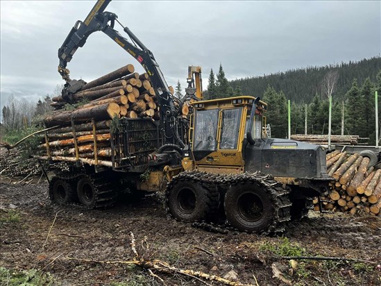 Le groupe de travail du gouvernement fédéral entame ses consultations