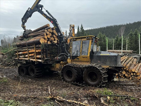 Le groupe de travail du gouvernement fédéral entame ses consultations