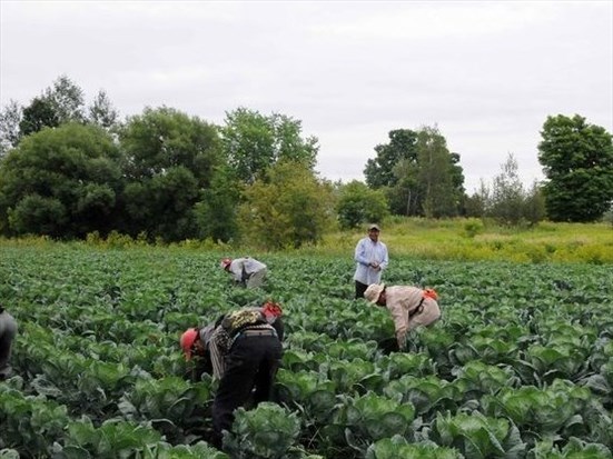 Un recul face aux restrictions fédérales exigé