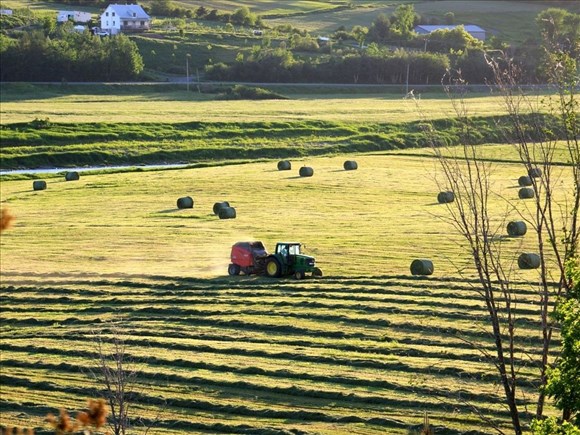 La paperasse étouffe l’agriculture canadienne, prévient la FCEI