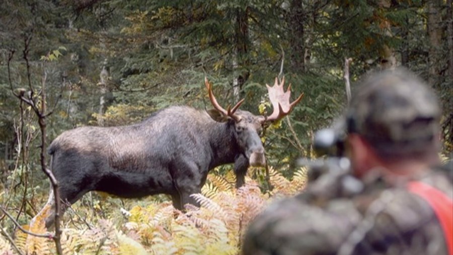 Une saison record au Québec en 2025