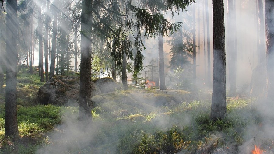 Ottawa injecte 316,7 M$ dans la lutte contre les feux de forêt