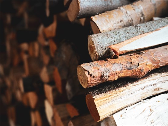 Création de l’Alliance de l’écosystème industriel forestier du Québec