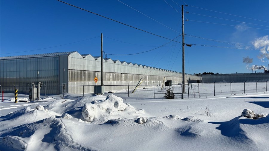 Serres Toundra : une quatrième serre et une usine de transformation 
