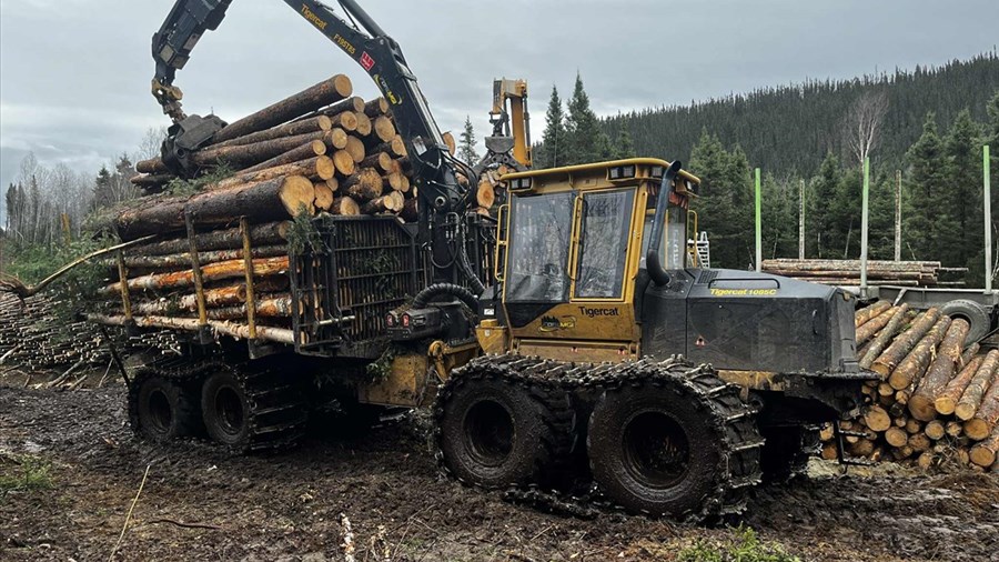 Alliance forêt boréale devient l’Alliance des communautés forestières