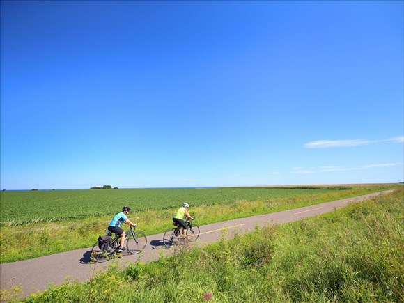 Un premier sommet du vélo prévu dans la région