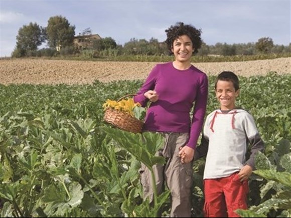 700 000$ jusqu’en 2028 pour le transfert des entreprises agricoles