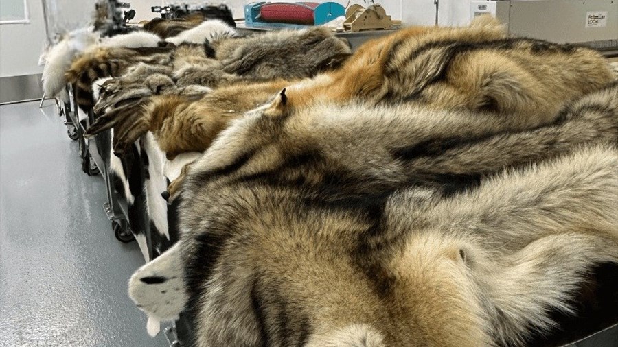 Un sommet pour penser l’avenir de la filière cuir et fourrure