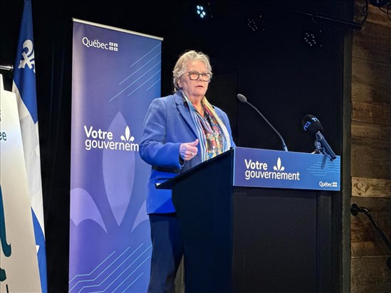 Québec solidaire demande l’exclusion de la ministre Chantal Rouleau
