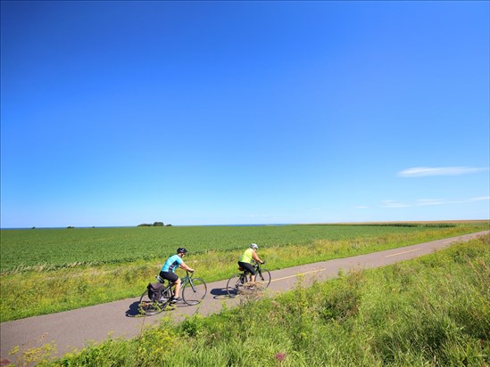 Vélo Québec lance une nouvelle plateforme numérique pour le cyclisme