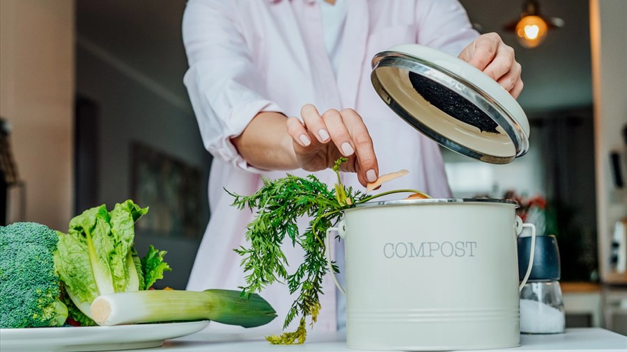 Le guide essentiel pour un mode de vie plus durable en 5 points