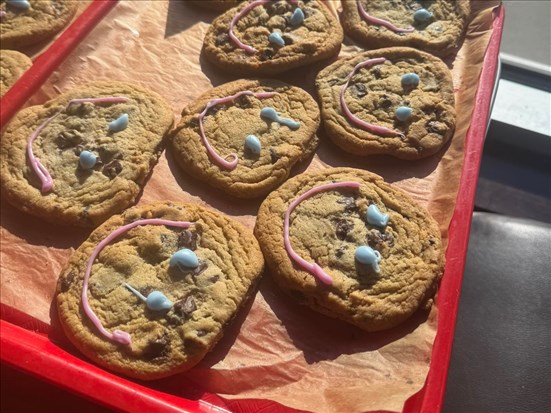 Vente de biscuits dans la région au profit de la Fondation Jean-Allard