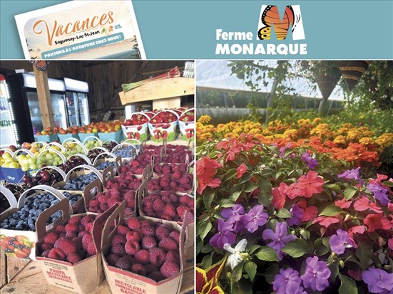 Une halte gourmande et authentique au cœur du Lac-Saint-Jean