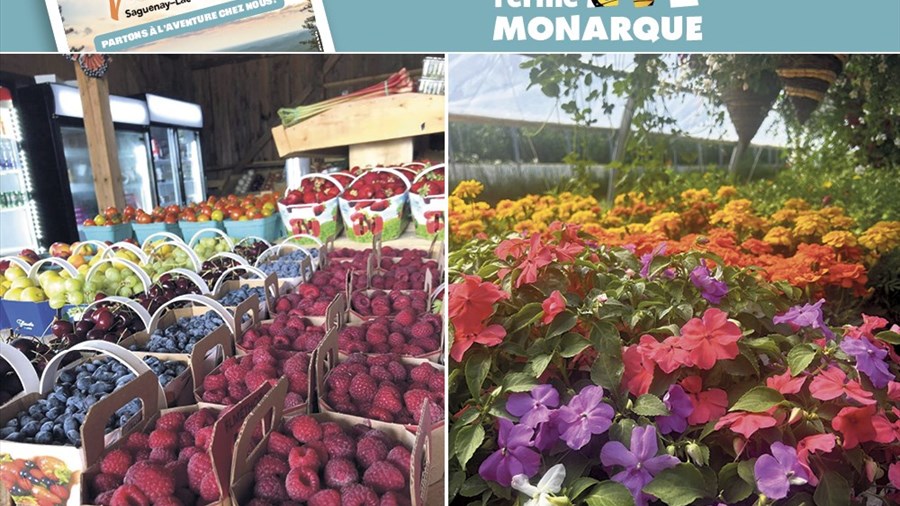 Une halte gourmande et authentique au cœur du Lac-Saint-Jean