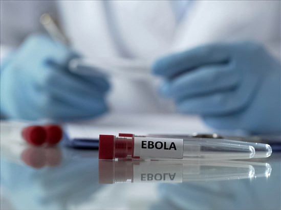 Le Canada renforce ses mesures frontalières face au risque d’Ebola
