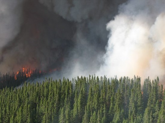 Le gouvernement fédéral anticipe une saison des feux de forêt ardue