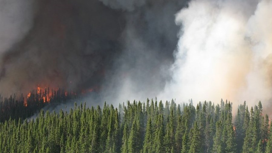 Le gouvernement fédéral anticipe une saison des feux de forêt ardue