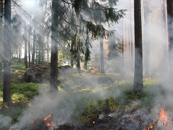 Nouvelle interdiction des feux à ciel ouvert dans toute la région