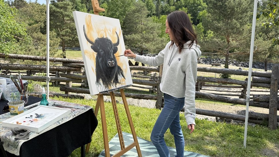 Quinze artistes à l’œuvre au cœur du Zoo sauvage