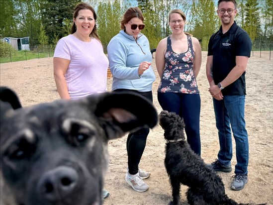 Un nouvel espace clôturé consacré à la socialisation canine