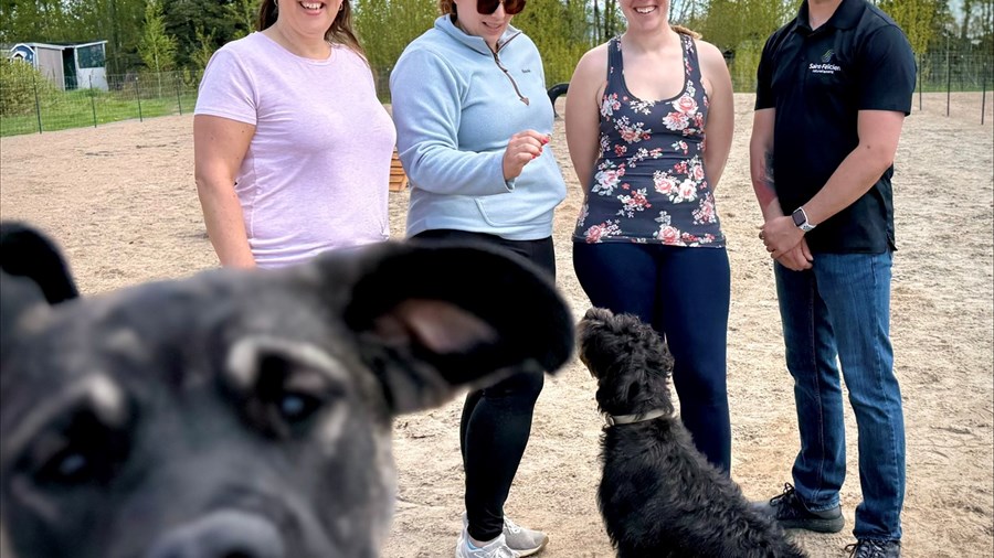 Un nouvel espace clôturé consacré à la socialisation canine