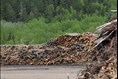 Un soulagement partiel pour l’industrie forestière régionale