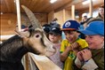 3 M$ pour de nouvelles installations au Zoo sauvage de Saint-Félicien