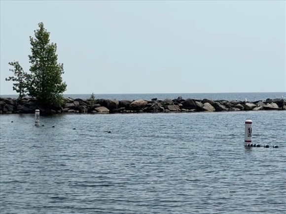 Un nouveau corridor de nage en eau libre accessible à Roberval