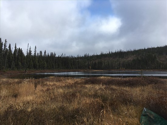 Des travaux d’inventaire forestier en cours au Saguenay–Lac-Saint-Jean