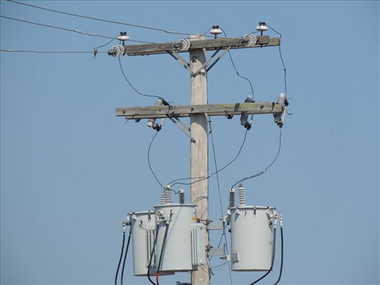 De fortes rafales ont privé des milliers de foyers d’électricité