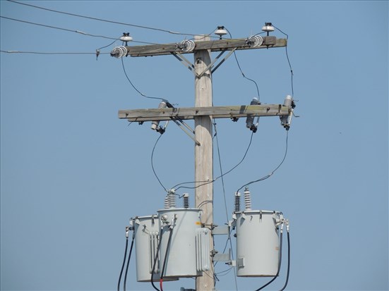 De fortes rafales ont privé des milliers de foyers d’électricité
