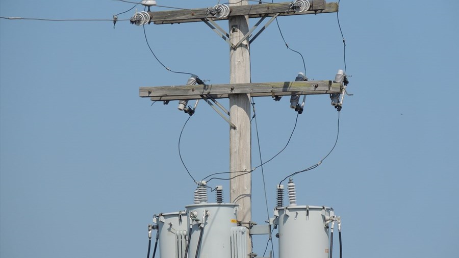 De fortes rafales ont privé des milliers de foyers d’électricité