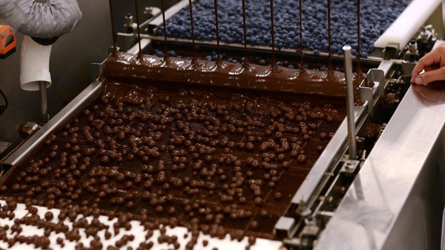 Le chocolat aux bleuets de retour sur les tablettes au Lac-Saint-Jean