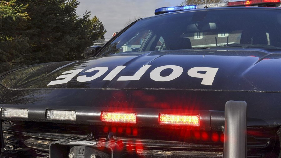 Fin des recherches à Alma